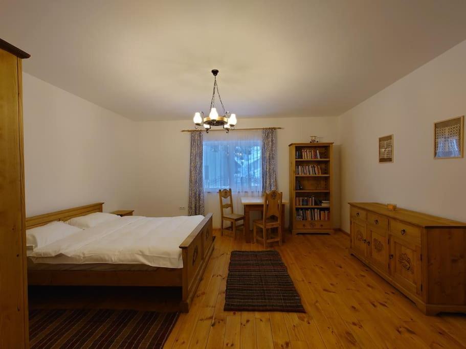 Mura House Vişeu de Sus 外观 照片
