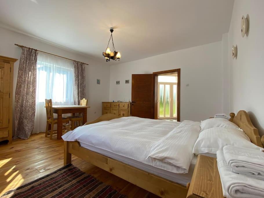 Mura House Vişeu de Sus 外观 照片